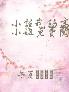 小说我的高冷大小姐免费阅读