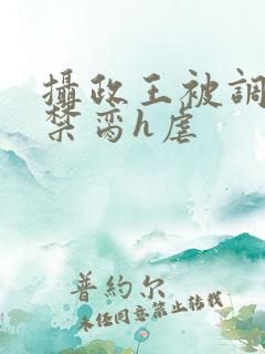 摄政王被调教成禁脔h虐