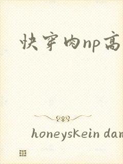 快穿肉np高h