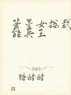 萧晨女总裁的全能兵王