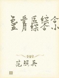 色爱区综合激情五月综合小说