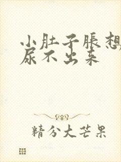 小肚子胀想尿又尿不出来