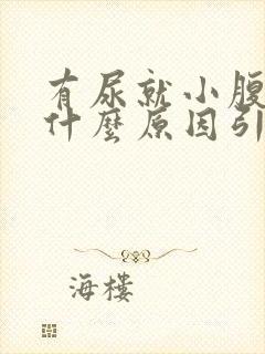 有尿就小腹胀痛什么原因引起的