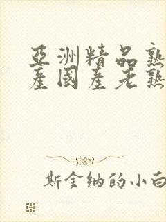 亚洲精品熟女国产国产老熟女