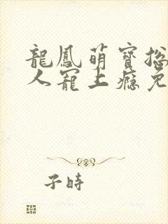 龙凤萌宝总裁大人宠上瘾免费阅读