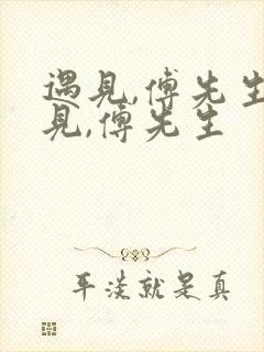 遇见,傅先生遇见,傅先生