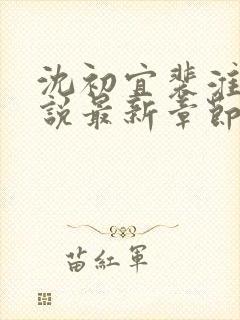 沈初宜裴淮聿小说最新章节免费阅读