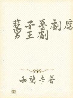 孽子台剧腐剧双男主剧