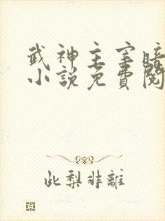 武神主宰暗魔师小说免费阅读