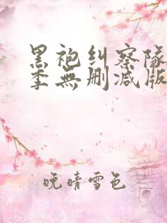 黑袍纠察队第四季无删减版