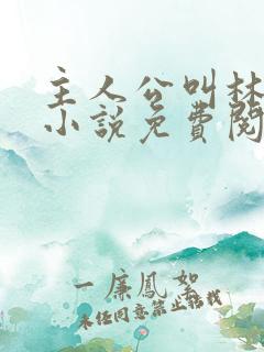 主人公叫林辰的小说免费阅读