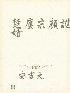 楚尘宋颜护国神婿