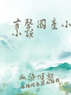 有声国产小仙儿小说