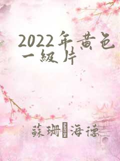 2022年黄色一级片