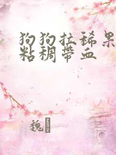 狗狗拉稀果冻状粘稠带血