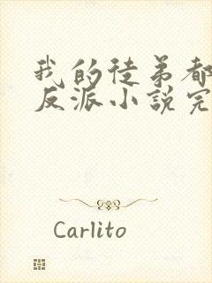 我的徒弟都是大反派小说完本免费阅读