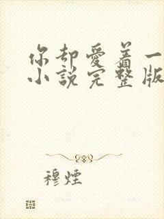 你却爱着一个他小说完整版阅读未删减