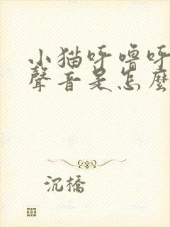 小猫呼噜呼噜的声音是怎么回事