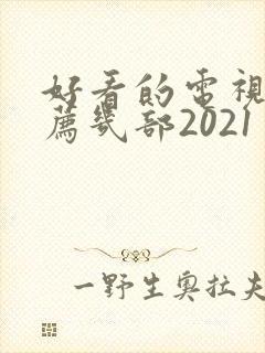 好看的电视剧推荐几部2021