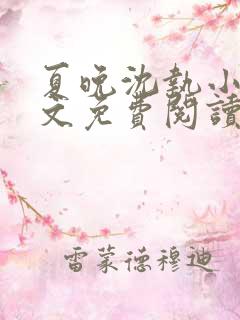 夏晚沈执小说全文免费阅读