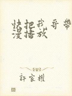 快把我哥带走动漫播放