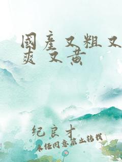 国产又粗又猛又爽 又黄