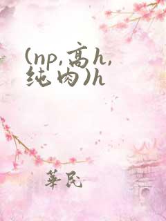 (np,高h,纯肉)h