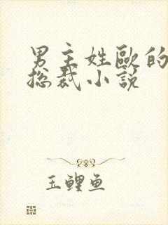 男主姓欧的霸道总裁小说