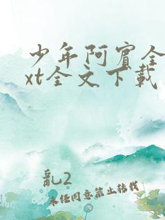 少年阿宾全集txt全文下载