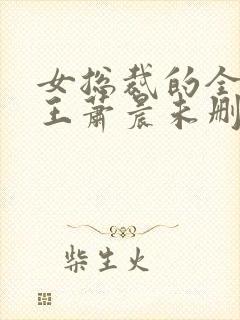 女总裁的全能兵王萧晨未删减版