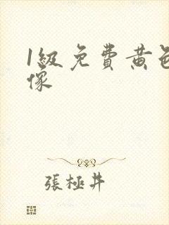 1级免费黄色录像