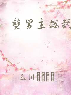 双男主总裁高干