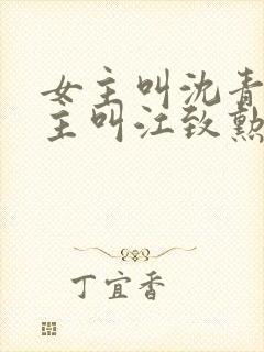 女主叫沈青青男主叫江致勋的小说