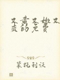 又黄又嫩又湿又爽的免费