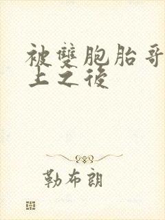 被双胞胎哥哥强上之后