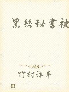 黑丝秘书被啪啪