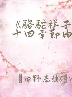 《骆驼祥子》二十四章节内容概括