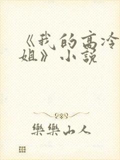 《我的高冷大小姐》小说