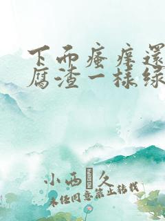 下面瘙痒还有豆腐渣一样绿色的分泌物