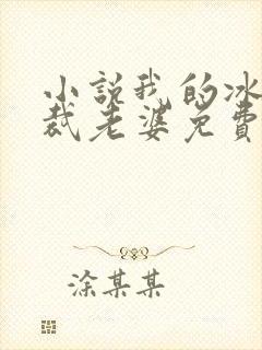 小说我的冰山总裁老婆免费阅读