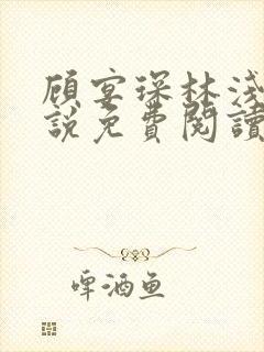 顾宴琛林浅月小说免费阅读最新章节