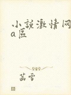 小说激情网亚洲a区