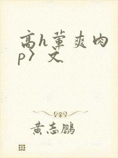 高h荤爽肉〈np〉文