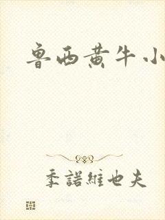 鲁西黄牛小牛犊