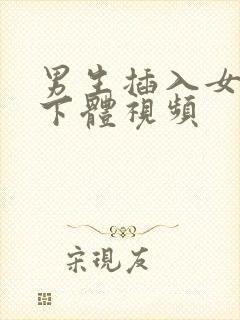 男生插入女生的下体视频