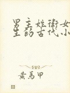 男主姓卫女主重生的古代小说