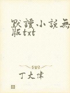默读小说无删减版txt