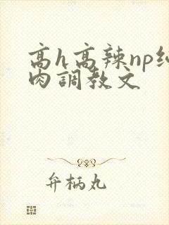 高h高辣np纯肉调教文