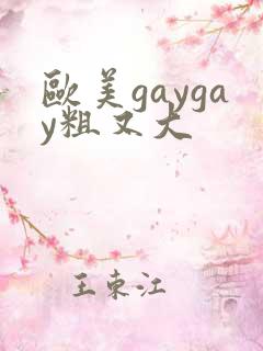 欧美gaygay粗又大