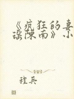 《疯狂的妻子林瑶陈南》小说下载